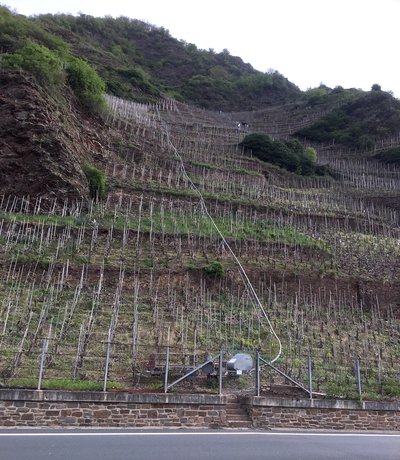 Vignoble du côteau de moselle