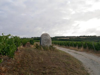 Puit dans le Coteau du Layon à coté du Moulin Guérin