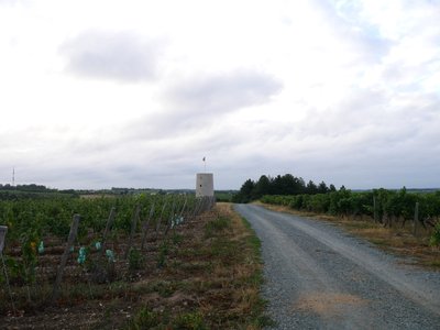 Moulin Guérin à Saint-Aubin de Luigné