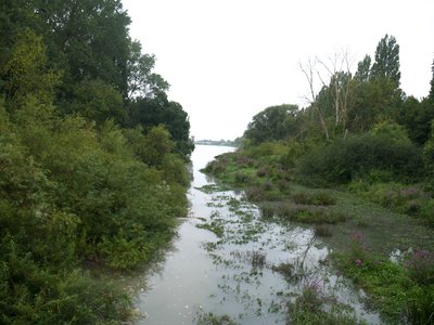 Vue de la Loire depuis la passerelle sur le bras-mort.