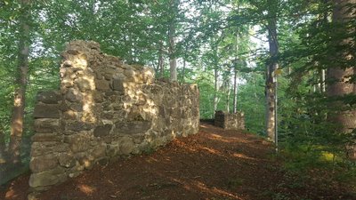 Ruine Helfenberg