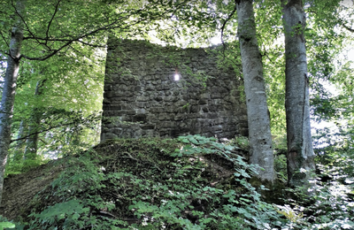 Ruine Rosenberg