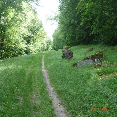 La Via Columbani sur l’aqueduc dans la forêt de Reuilly Sauvigny.