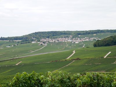 Les parcelles du vignoble champenois