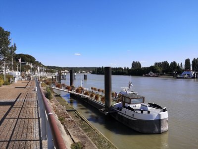 Le Bord de Seine à Duclair