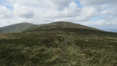 Mount Leinster