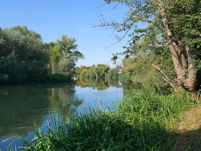 Réserve biologique de la Wantzenau