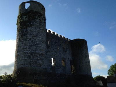 Carlow castle