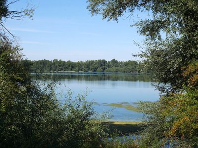 Vue sur la réserve naturelle de la Sauer