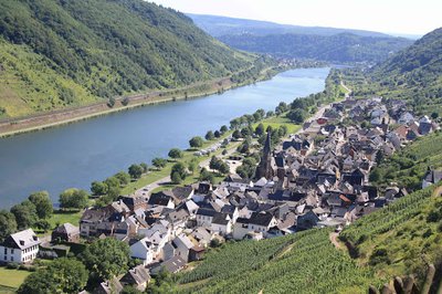 Vue générale de St. Aldegund an der Mosel