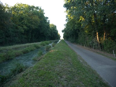 La via Columbani entre le canal d’irrigation de la Hardt et la forêt du Hardtwald