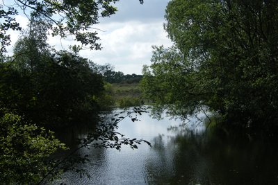 Landes de La Poterie