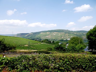 La vallée de la Moselle vue depuis l’église de Riol