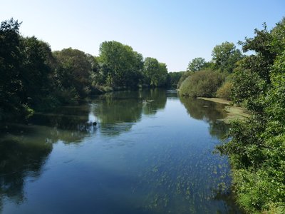 La Moder avant sa confluence avec le Rhin