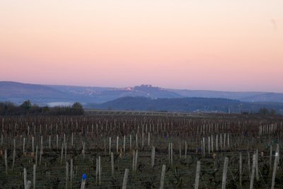 Le vignoble de Pouilly Fumé, la colline de Sancerre, la Loire