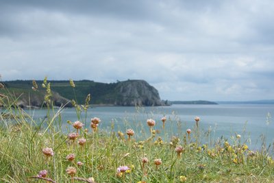 Falaises de Crozon