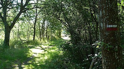 Site naturel protégé d’Entre-les-Levées.