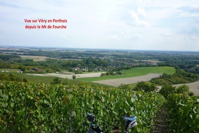 Vignoble en Perthois