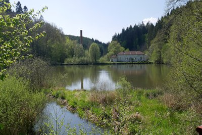 Ruines de la Forge Neuve devant son étang.