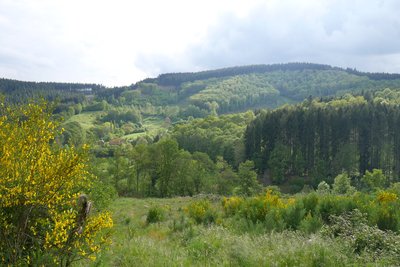 Paysage du Morvan