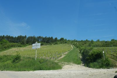 Le début du vignoble d’Irancy en arrivant de Cravant