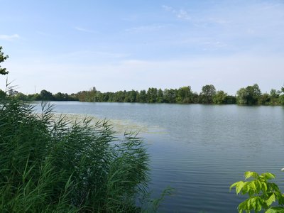 La Saône languissante