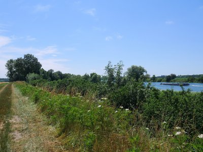 Une péniche descend la Saône à côté de la Via Columbani