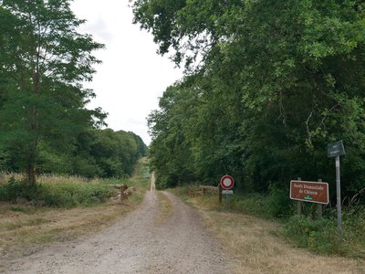 La Via Columbani dans la forêt domaniale de Chinon, carrefour route forestière Charles VII