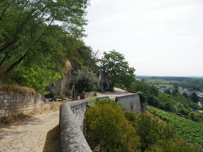 Vignes de Chinon à flanc de coteau de la ville de Chinon