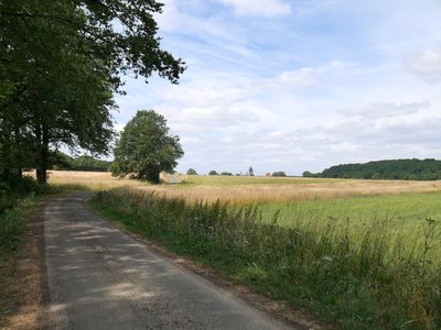 La Via Columbani en bordure du camp militaire et des cultures avant Fontevraud-L’Abbaye