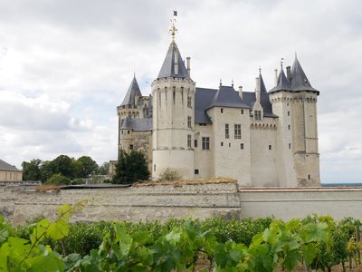 Château de Saumur, vue depuis la Via Columbani