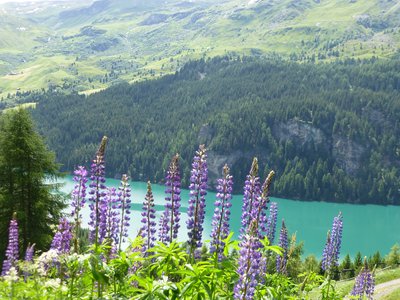 Lac Marmorera