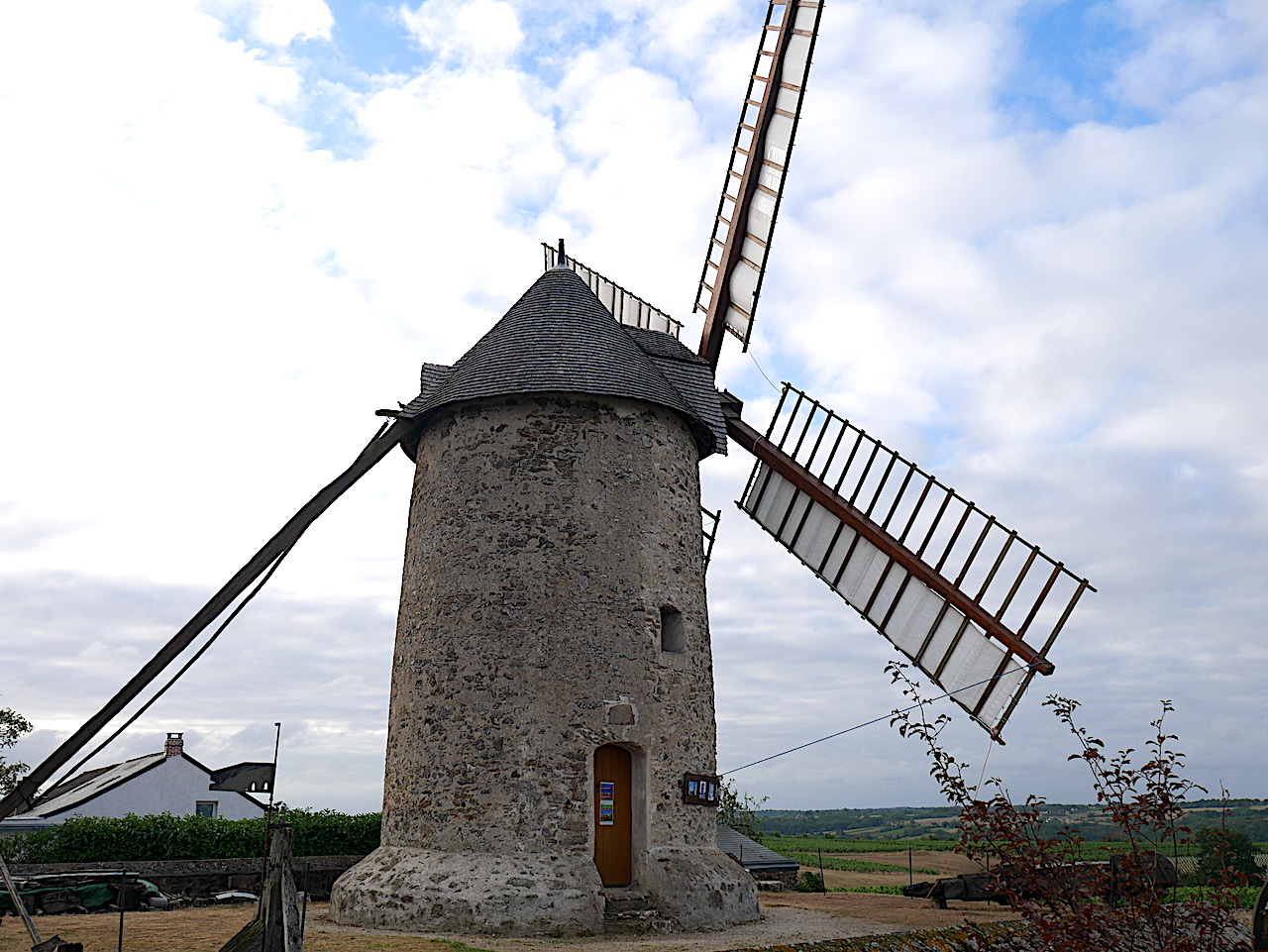 Moulins d’Ardenay dans le vignoble des Coteaux du Layon