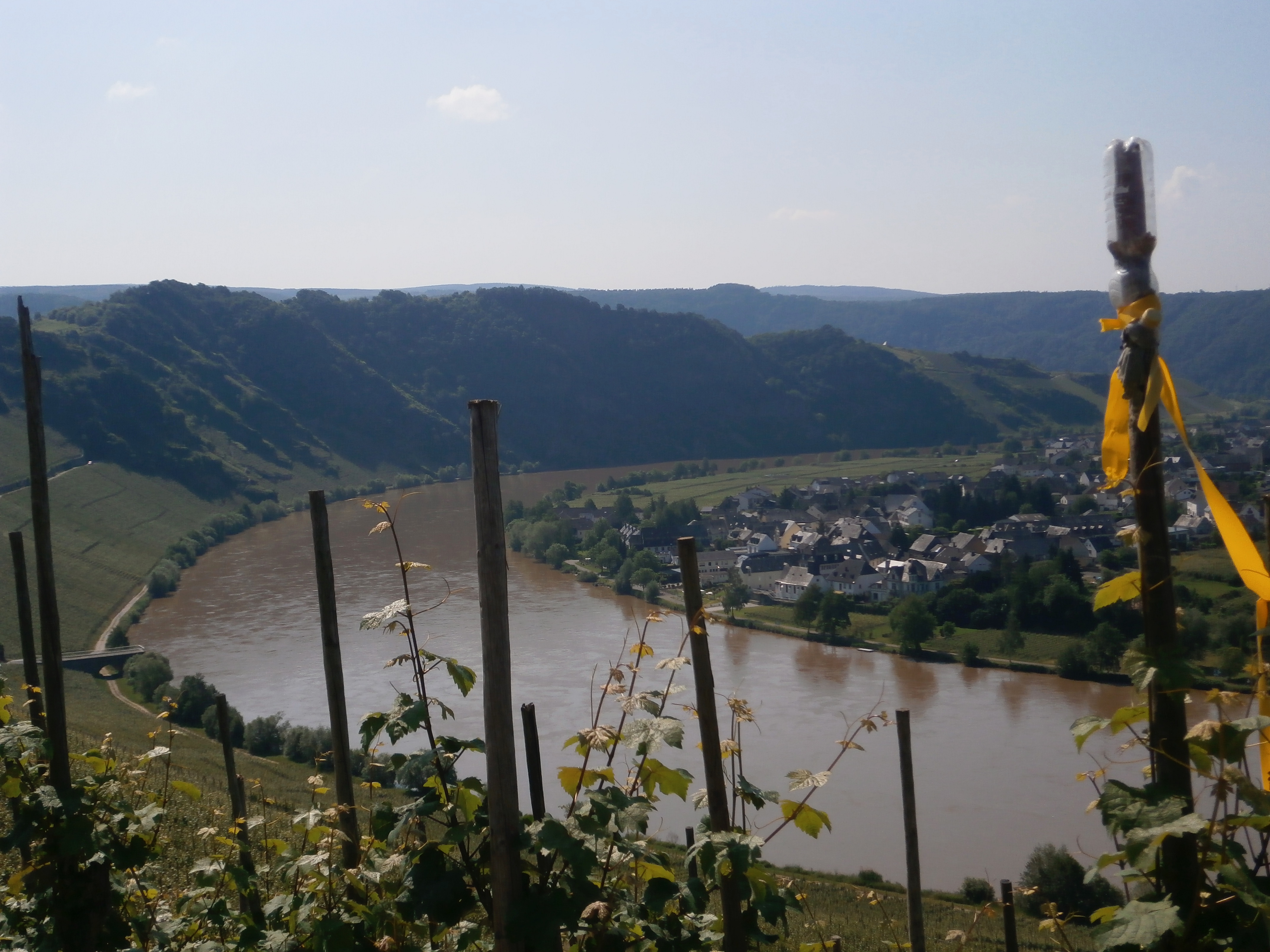 Moselle