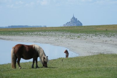 Baie du Mont St Michel