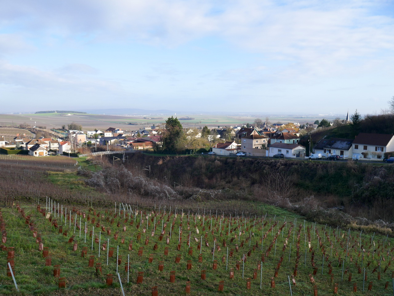 Vue de Rilly-la-Montagne