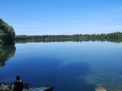 Vue sur la réserve naturelle de la Sauer