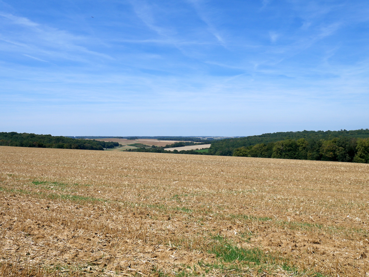 Paysage plateau à Biencourt-sur-Orge