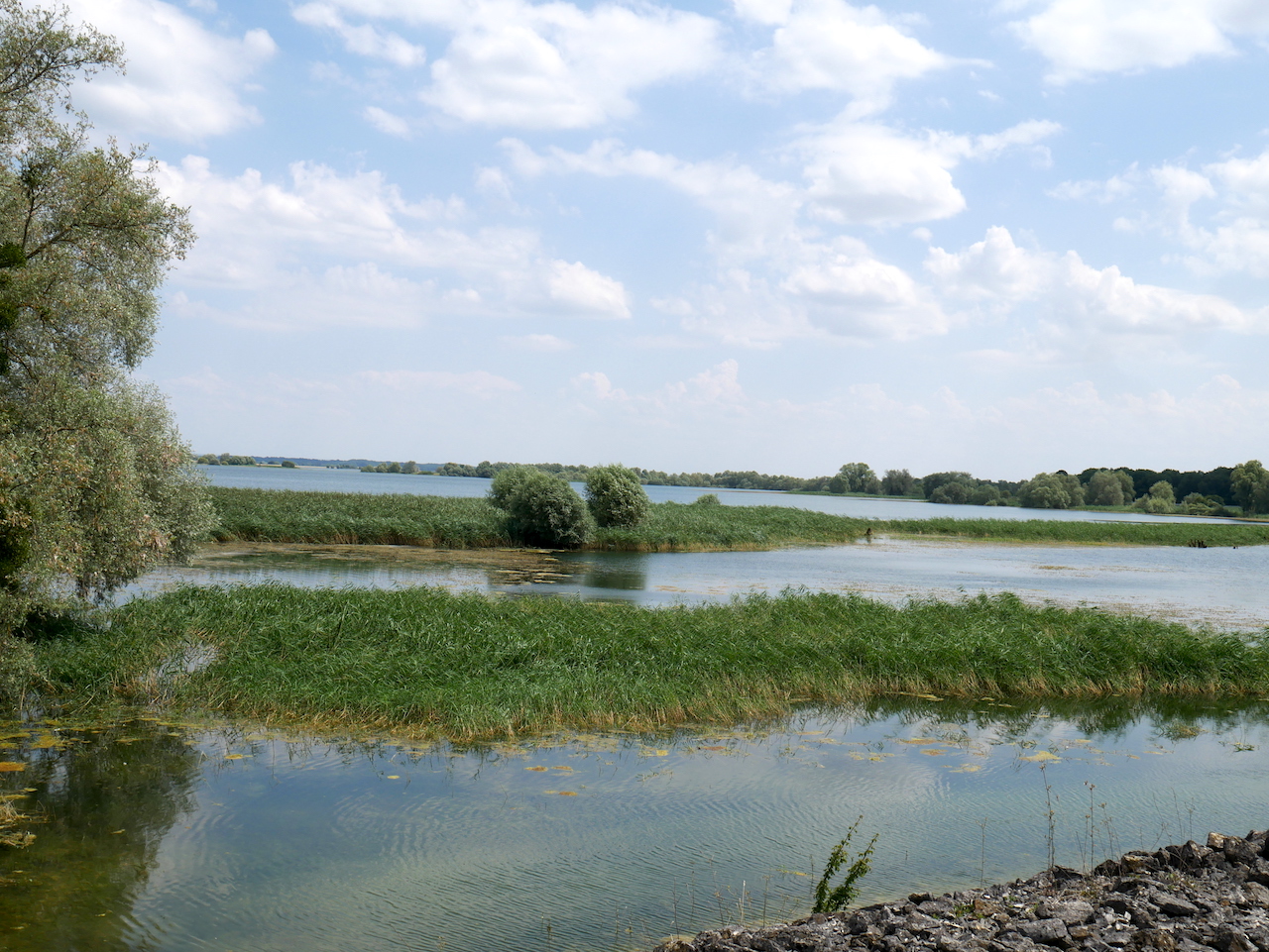 Lac du Der vue depuis la Via Columbani