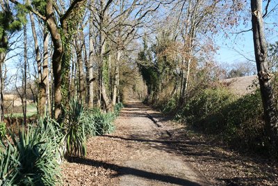 Ancienne voie romaine parallèle à la Loire