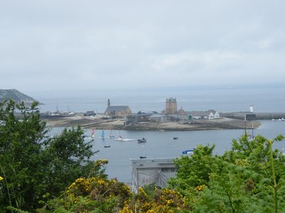 Le port de Camaret