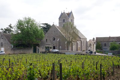 Église Saint-Symphorien à Touches, vignoble Côtes Chalonnaise