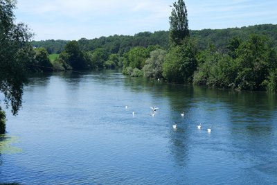 Végétation luxuriante en bordure du Doubs