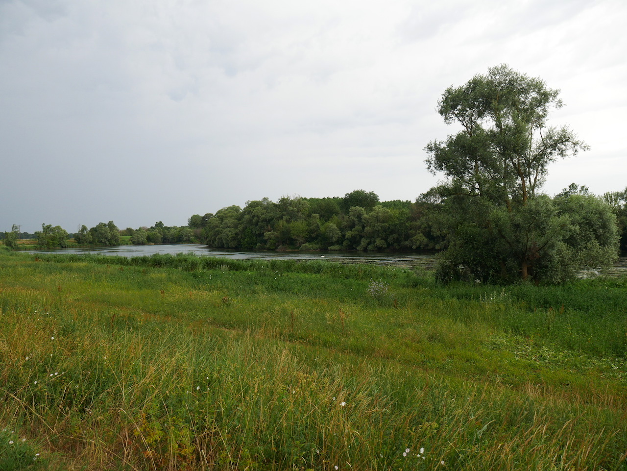 La plaine de Saône à Chazelle